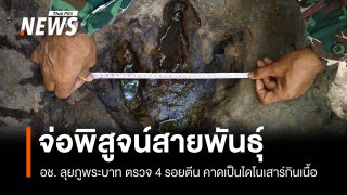 อช. เตรียมตรวจยืนยันสายพันธุ์ รอยตีนคล้ายไดโนเสาร์ที่ภูพระบาท