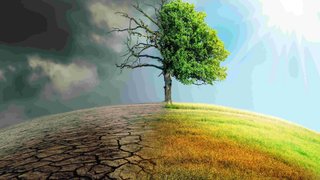 Climate Change เขย่าตลาดเกษตร   สนค. ชู 3 แผนรับมือ รับมือโลกรวน