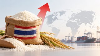 ข้าวไทย “ราคาสูง”ฉุดแข่งโลก  จี้รัฐลดต้นทุน–เพิ่มผลผลิต