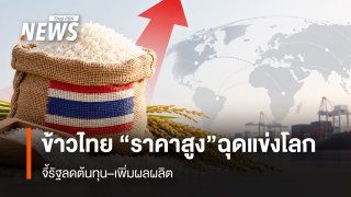 ข้าวไทย “ราคาสูง”ฉุดแข่งโลก  จี้รัฐลดต้นทุน–เพิ่มผลผลิต