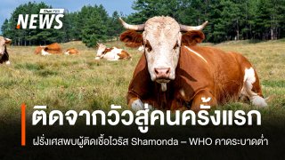 ฝรั่งเศสพบผู้ป่วยติดเชื้อไวรัส "ชามอนดา" ในมนุษย์รายแรกของโลก-เสียชีวิตแล้ว