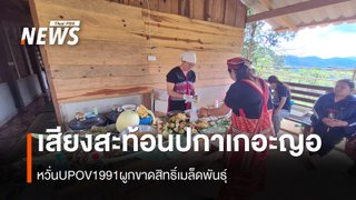วิถี "แบ่งปัน" กับ ลิขสิทธิ์เมล็ดพันธุ์ การต่อสู้เพื่อความมั่นคงทางอาหารของชุมชนปกาเกอะญอ
