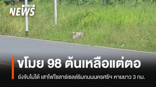 เหลือแต่ตอ! เสาไฟโซลาร์เซลล์นครศรีฯ ถูกขโมยรวด 98 ต้น ยาว 3 กม.