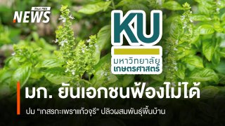 มก. ยันเอกชนฟ้องไม่ได้ ปม "เกสรกะเพราแก้วจุรี" ปลิวผสมพันธุ์พื้นบ้าน 
