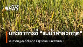“ดร.สืบสกุล” เสนอแก้ “วิกฤตแม่น้ำสาย” พบสารหนู-ตะกั่วในข้าว จี้ตรวจ บ.เหมือง 20 แห่ง จ.ท่าขี้เหล็ก