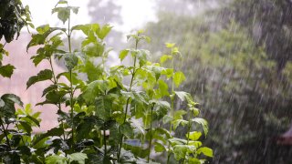 สภาพอากาศวันนี้ ภาคกลาง-ตะวันออก-ใต้ ยังมีฝนหนัก 18-25 ต.ค. ฝนหนักหลายพื้นที่