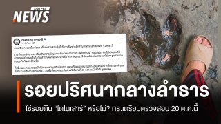 รอยปริศนากลางลำธาร ใช่รอยตีนไดโนเสาร์หรือไม่? กรมทรัพยากรธรณีเตรียมตรวจสอบ 20 ต.ค.นี้
