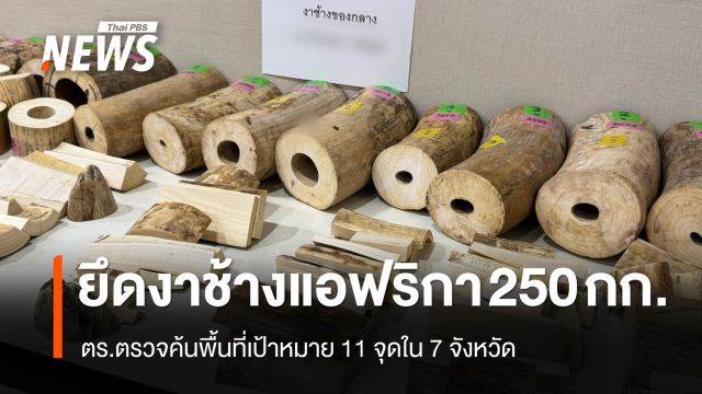 ตร.ตรวจค้นพื้นที่เป้าหมาย 11 จุดใน 7 จังหวัด ยึดงาช้างแอฟริกา 250 กก.รวบ 9 ผู้ต้องหา
