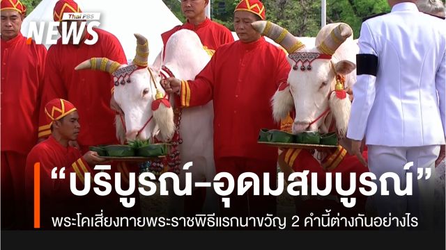 คำทำนายผลเสี่ยงทายของพระโค “บริบูรณ์” กับ “อุดมสมบูรณ์” ต่างกันอย่างไร
