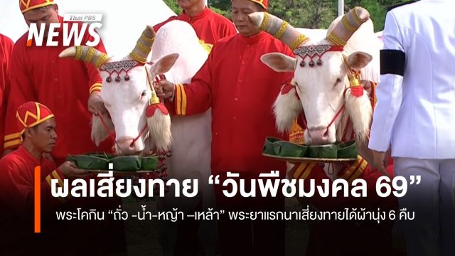  ผลเสี่ยงทาย "วันพืชมงคล 69" พระโคกิน "ถั่ว -น้ำ-หญ้า -เหล้า " พระยาแรกนาเสี่ยงทายได้ผ้านุ่ง 6 คืบ 