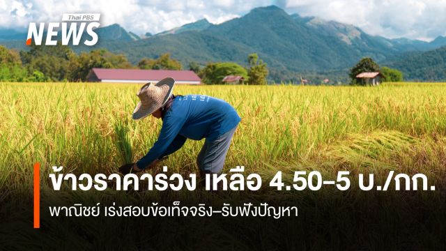 ราคาข้าวร่วง เหลือ 4.50-5 บาท/กก. พณ.เร่งสอบข้อเท็จจริง–รับฟังปัญหา