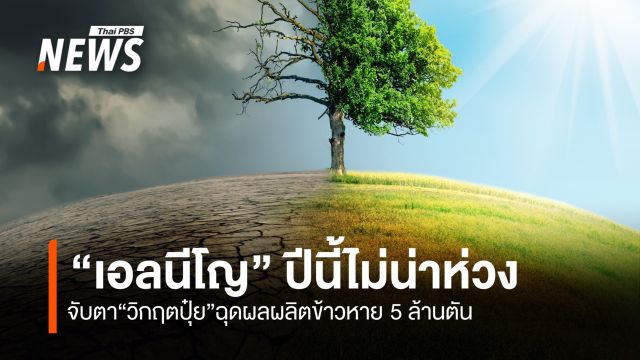 “เอลนีโญ” ปีนี้ไม่น่าห่วง  จับตา "วิกฤตปุ๋ยขาดแคลน" ฉุดผลผลิตข้าวไทยหาย 5 ล้านตัน