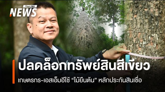ปลดล็อกทรัพย์สินสีเขียว เกษตรกร – เอสเอ็มอีใช้ “ไม้ยืนต้น”หลักประกันสินเชื่อ