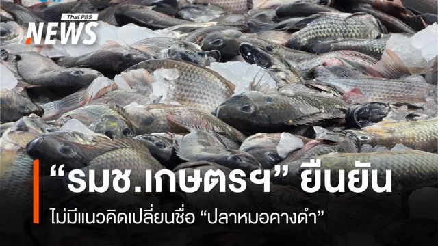“รมช.เกษตรฯ” ยืนยัน ไม่มีแนวคิดเปลี่ยนชื่อ “ปลาหมอคางดำ”