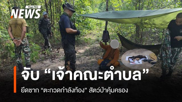 จับ "เจ้าคณะตำบล" กลางป่าตาพระยา ของกลาง "ซากตะกวด" 