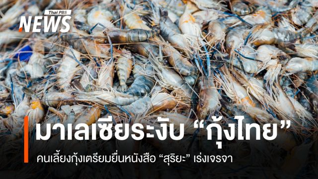 คนเลี้ยงกุ้งเตรียมยื่นหนังสือ รมว.เกษตรฯ หลังมาเลเซียระงับนำเข้า 5 สายพันธุ์