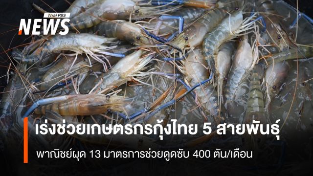 พณ.เร่งช่วยเกษตรกรกุ้งไทย 5 สายพันธุ์  ผุด 13 มาตรการช่วยดูดซับ 400 ตัน/เดือน