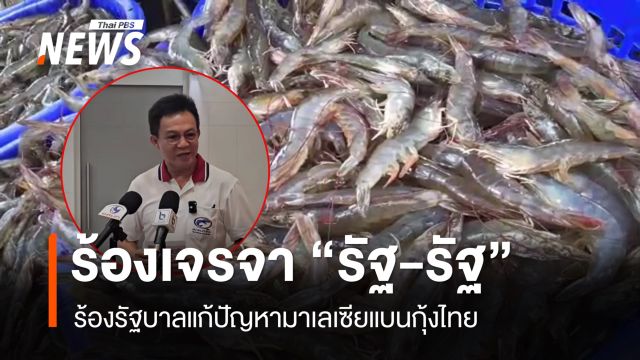 "สมาคมกุ้งไทย" เรียกร้องรัฐบาลเจรจา “รัฐต่อรัฐ” แก้ปัญหา “มาเลเซีย” ระงับนำเข้ากุ้งไทย