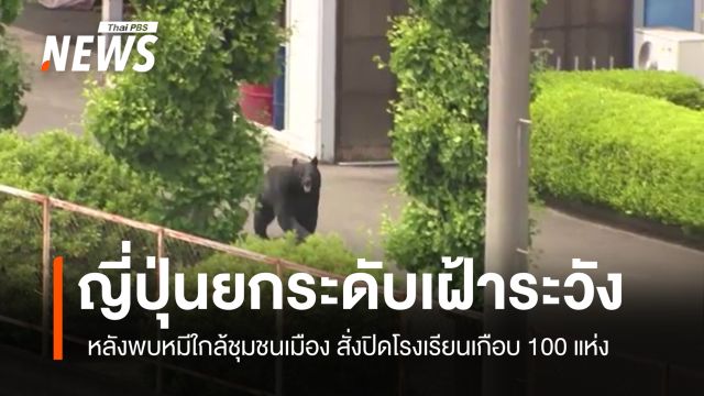ญี่ปุ่นยกระดับเฝ้าระวัง หลังพบหมีใกล้ชุมชนเมือง สั่งปิด 94 โรงเรียน
