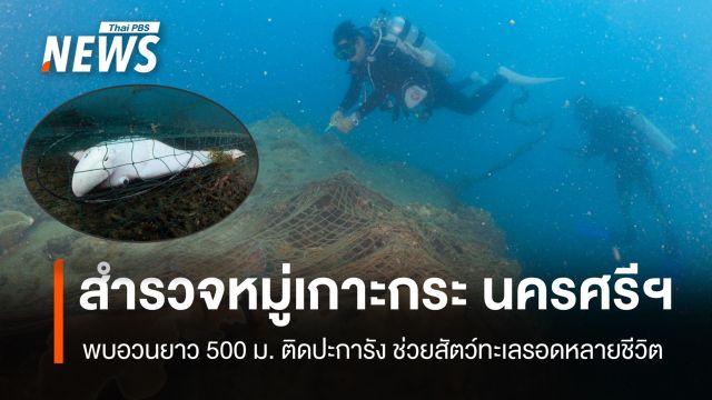 สำรวจหมู่เกาะกระ นครศรีฯ พบอวนลอยขนาดใหญ่ยาว 500 เมตร ติดปะการัง 