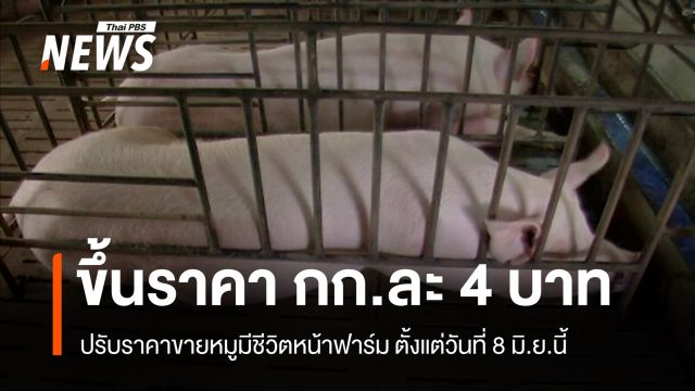 ขึ้นราคาหมูมีชีวิตหน้าฟาร์ม กก.ละ 4 บาท มีผล 8 มิ.ย.นี้ 