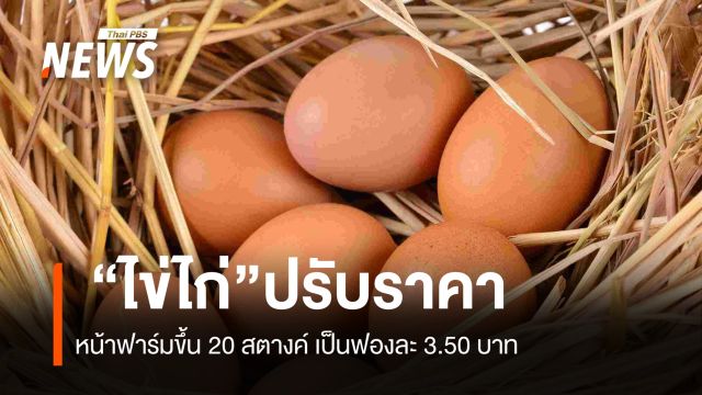 "ไข่ไก่" ปรับราคาหน้าฟาร์มขึ้น 20 สตางค์ เป็นฟองละ 3.50 บาท