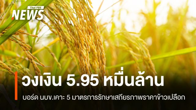 บอร์ด นบข.เคาะ 5 มาตรการรักษาเสถียรภาพราคาข้าวเปลือก วงเงิน 5.95 หมื่นล้าน