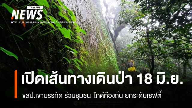 ขสป.เขาบรรทัด เปิด "เส้นทางเดินป่า" 18 มิ.ย.นี้ หลังยกระดับเซฟตี้ 