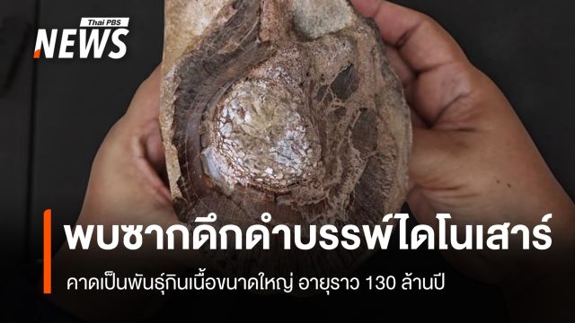 ตรวจซากดึกดำบรรพ์ไดโนเสาร์ที่ "ภูผาด่าง" จ.สกลนคร คาดเป็นพันธุ์กินเนื้อขนาดใหญ่