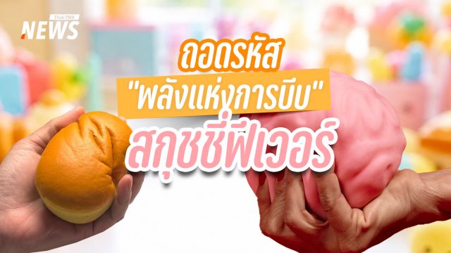 ทำไม "สกุชชี่" ถึงกลายเป็นเครื่องบำบัดจิตใจของคนวัยทำงาน ?