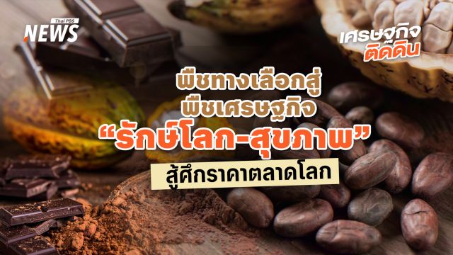 ปลุกกระแสโกโก้ไทยสู่ High Value  พืชทางเลือก สู่ พืชเศรษฐกิจ “รักษ์โลก-สุขภาพ” สู้ศึกราคาตลาดโลก