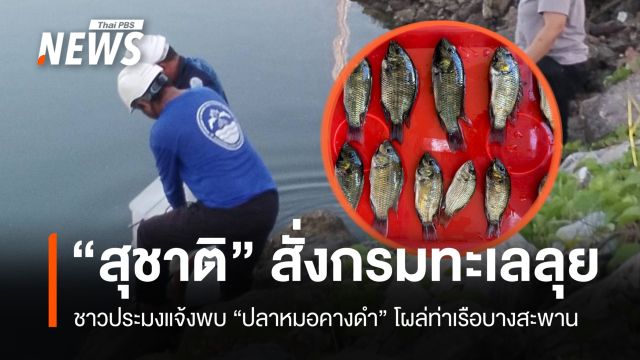 "สุชาติ" สั่งกรมทะเลลุยตรวจ "ปลาหมอคางดำ" โผล่ท่าเรือน้ำลึกบางสะพาน