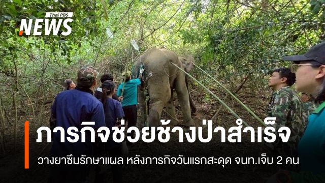 ภารกิจช่วยช้างป่ากุยบุรีบาดเจ็บ ทีมสัตวแพทย์รักษาสำเร็จ 