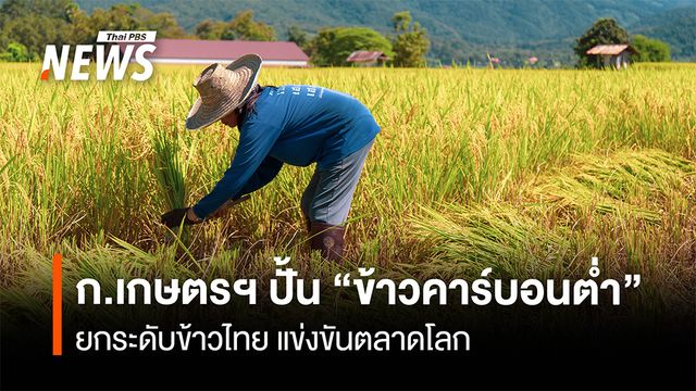 ก.เกษตรฯ ปั้น "ข้าวคาร์บอนต่ำ"  ยกระดับข้าวไทย แข่งขันตลาดโลก