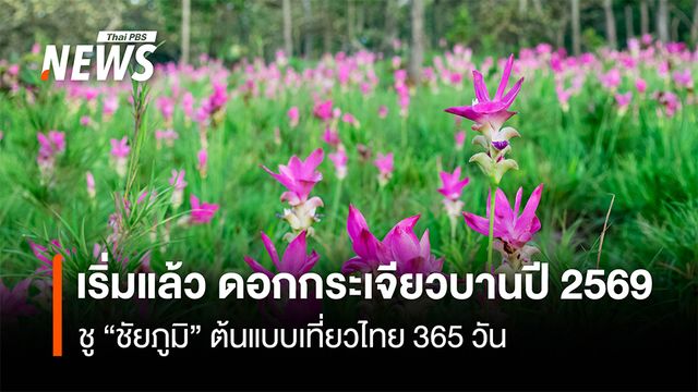 เริ่มแล้ว ดอกกระเจียวบานปี 2569  ชู “ชัยภูมิ”เป็นต้นแบบเที่ยวไทย 365 วัน"