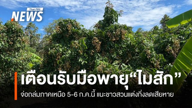 เตือนรับมือพายุ “ไมสัก” จ่อถล่มภาคเหนือ 5-6 ก.ค.นี้ แนะชาวสวนแต่งกิ่งลดเสียหาย