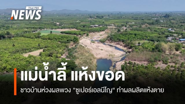 แม่น้ำลี้ แห้งขอด ชาวบ้านห่วงผลพวง "ซูเปอร์เอลนีโญ“ ทำผลผลิตแห้งตาย
