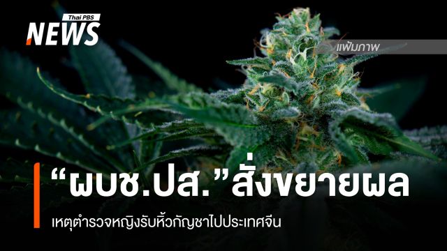 “ผบช.ปส.” สั่งขยายผล กรณี ตร.หญิงรับหิ้วกัญชาไปจีน