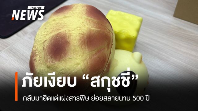 ภัยเงียบ "สกุชชี่" กลับมาฮิตแต่แฝงสารพิษ นักวิชาการชี้ย่อยสลายนาน 500 ปี