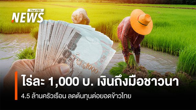 ไร่ละ 1,000 บาท เงินถึงมือชาวนา 4.5 ล้านครัวเรือนลดต้นทุนต่อยอดข้าวไทย