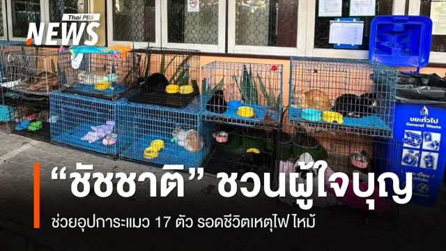 “ชัชชาติ” ชวนผู้ใจบุญช่วยอุปการะแมว 17 ตัว รอดชีวิตเหตุไฟไหม้