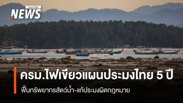 ครม.ไฟเขียวแผนประมงไทย 5 ปี ฟื้นทรัพยากรสัตว์น้ำ-แก้ประมงผิดกฎหมาย 
