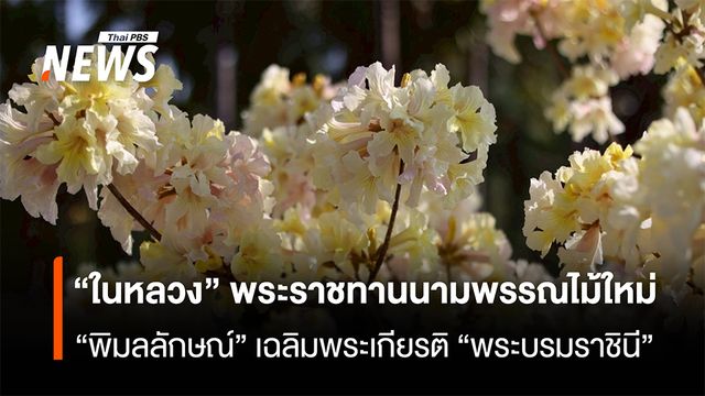 "ในหลวง" พระราชทานนามพรรณไม้ใหม่ "พิมลลักษณ์" เฉลิมพระเกียรติ "พระบรมราชินี"