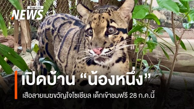 เปิดบ้าน “น้องหนึ่ง” เสือลายเมฆขวัญใจโซเชียล เด็กเข้าชมฟรี 28 ก.ค.นี้