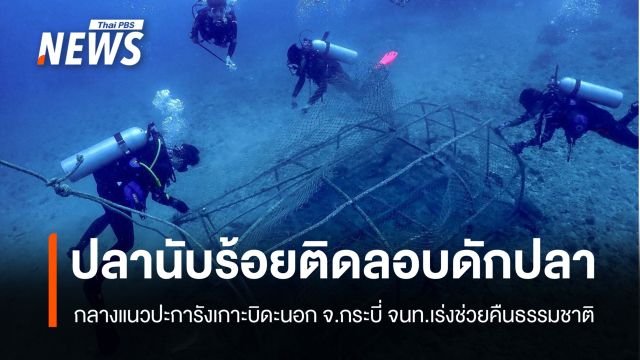 ช่วยเกือบ 100 ชีวิต ปลาทะเลติดลอบดักปลา กลางแนวปะการังเกาะบิดะนอก จ.กระบี่