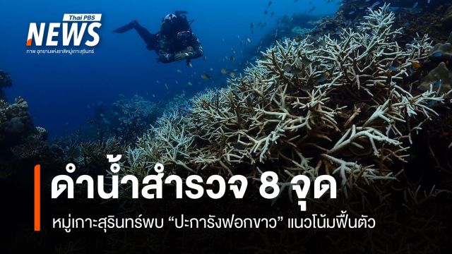 สำรวจ 8 จุด หมู่เกาะสุรินทร์พบปะการังฟอกขาว แนวโน้มฟื้นตัว แต่ยังต้องเฝ้าระวัง