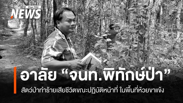 อาลัย "จนท.พิทักษ์ป่าห้วยขาแข้ง" ถูกสัตว์ป่าทำร้ายเสียชีวิต