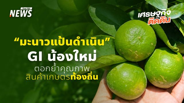 เปลือกบาง ผิวเรียบมัน “มะนาวแป้นดำเนิน” GI น้องใหม่ตอกย้ำคุณภาพสินค้าเกษตรท้องถิ่น
