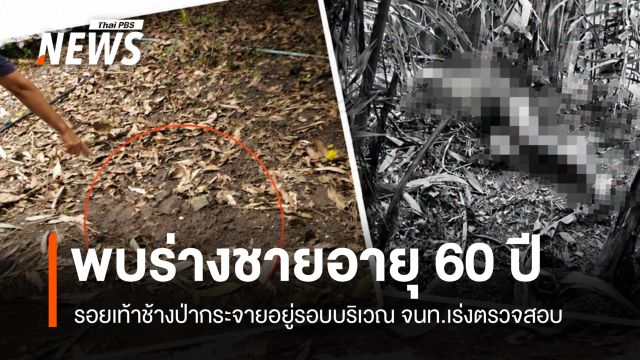 พบชายวัย 60 ปี เสียชีวิต อ.หนองใหญ่ จ.ชลบุรี คาดถูกช้างป่าทำร้าย 