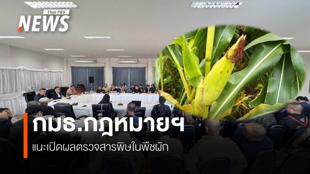 กมธ.กฎหมายฯ แนะเปิดผลตรวจสารพิษในพืชผัก ชาวบ้านท่าตอน จ.เชียงใหม่ กินผักปนเปื้อนเกือบ 2 ปี 